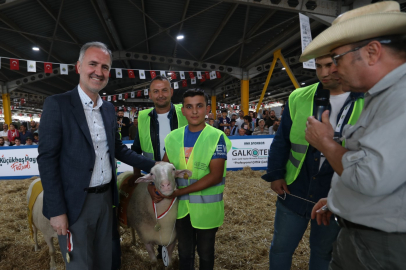 İnegöl'de yerli tavuk ırkları ile koçlar podyuma çıkacak