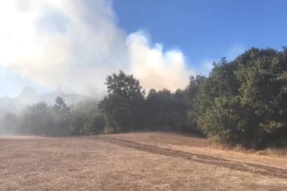Bursa'da korkutan orman yangını