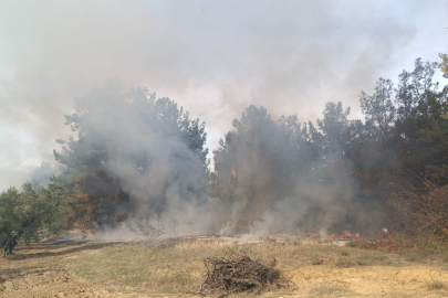 Bursa’da korkutan orman yangını