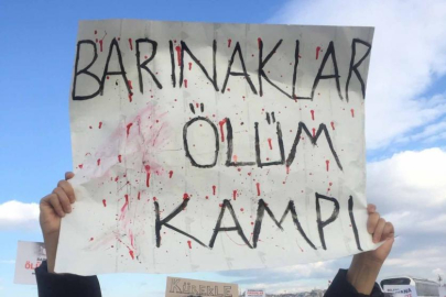 DOHADERN, Gebze'deki hayvan katliamı hakkında konuştu.