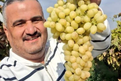 Üzümü bağında bekleten daha fazla kazanıyor