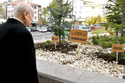 Devlet Bahçeli “Biz Kardeşiz Ağaçları”nı anlattı...