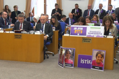 TBMM Plan ve Bütçe Komisyonu'nda ‘kadın cinayetleri' tartışması