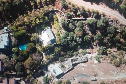 Suavi’ye Bodrum’da ağaç katliamı cezası