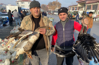 Kaz tüketimi arabaşına bağlı