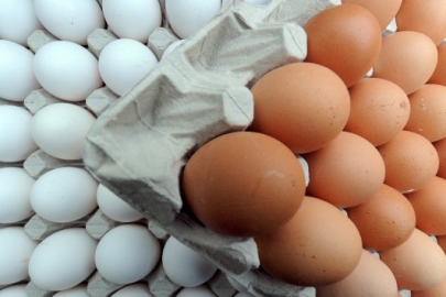 Tavuk yumurtası üretimi Ekim ayında yüzde 2,9 arttı