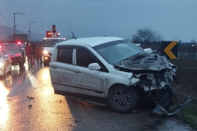 Kamyonet elektrik direğine çarptı 1 yaralı