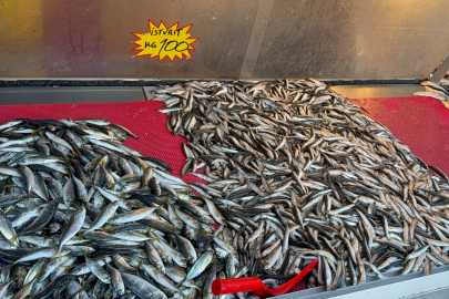 Balık tezgahları şenlendi