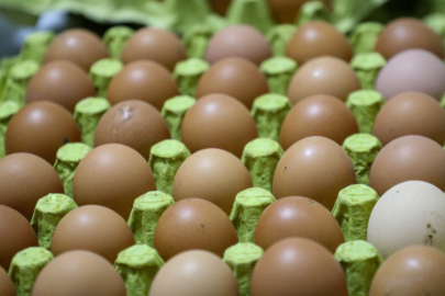 Aralık’ta en çok yumurta pahalandı
