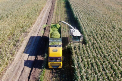 TÜİK, tarım ürünleri üretici fiyat endeksini açıkladı