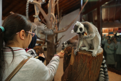 Büyükşehir Belediyesi'nden öğrencilere karne hediyesi!