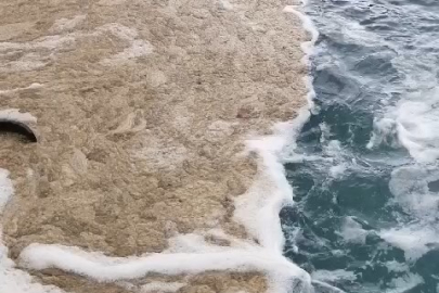 Gemlik Körfezi'ni müsilaj sardı