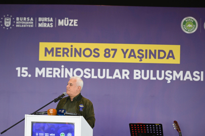 Merinos’un mirası Bursa’da yaşatılıyor