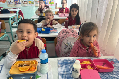 Bursa'da "Sağlıklı Beslenme Yolculuğum" başlıyor