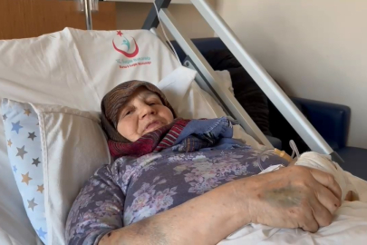 Sahipsiz köpekler 66 yaşındaki kadını saldırdı