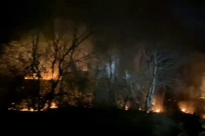 Bursa’da ormanlık alanda yangın