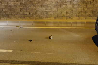 Yolun karşısına geçmeye çalışan 2 kişiye araç çarptı