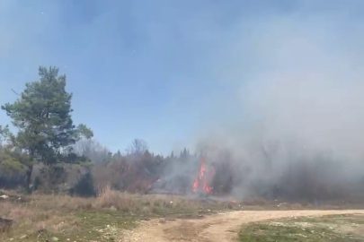 Bursa'da korkutan orman yangını: Müdahale sürüyor