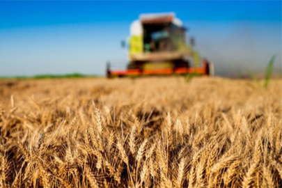 Tarım ÜFE Şubat'ta yükseldi!