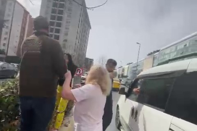 Sokak köpekleri toplanırken ortalığı inlettiler!