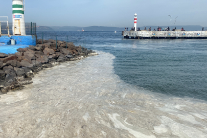 Çanakkale Boğazı'nda müsilaj etkisini gösteriyor