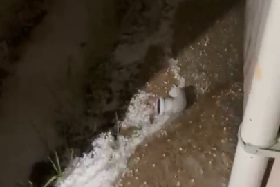 Bursa'da dolu yağışı fidelere zarar verdi