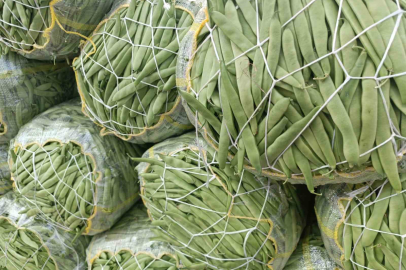 İstanbul’da Mart ayında en çok taze fasulye pahalandı