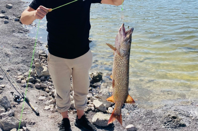 Amatör balıkçının oltasına 7 kiloluk turna takıldı