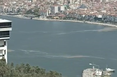 Tekrar ortaya çıkan müsilaj tedirgin etti