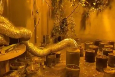 Bursa jandarmasından dev operasyon