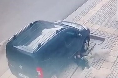 Vatandaşlar can dostlara sahip çıkmayan belediyeye tepki gösterdi