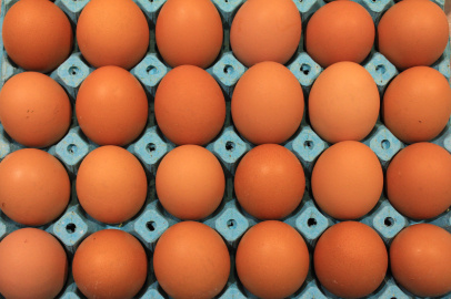 Yumurta Sektörü 500 milyon dolar ihracat hedefliyor