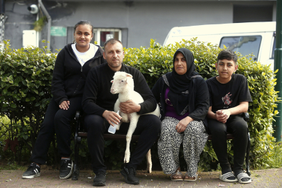 Bursa'da kuzu Maviş ailenin yeni üyesi oldu