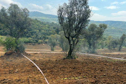 Hobi bahçesi vaadiyle yapılan satışlara dikkat!