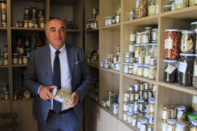 Nilüfer Belediyesi'nden tarımsal geleceğe yatırım