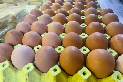 Kabuk deyip geçmeyin: Sanayide çok değerli