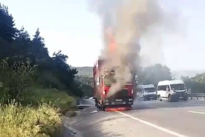 Kamyon alevlere teslim