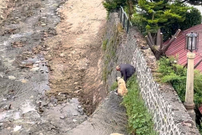 Kangal köpekleri sahibi tarafından kahramanca kurtarıldı