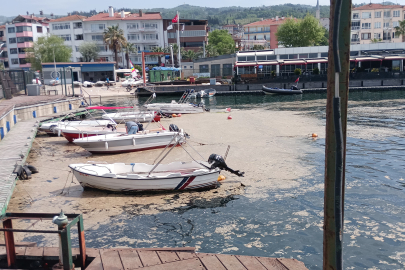 Marmara'daki müsilaj sorunu balıkçıları zorluyor