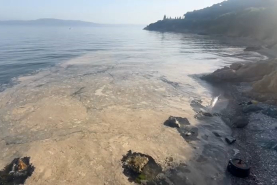 Gemlik'te müsilaj paniği