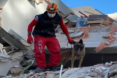 Kahraman köpek 'Bob' öldü