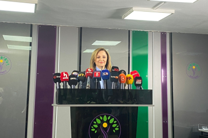 DEM Parti Sözcüsü Doğan: "Türkiye'nin yeni bir anayasaya ihtiyacı var"