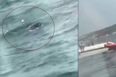 İstanbul Boğazı’nda can pazarı