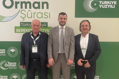 Ahşap palet sektöründen Bakanlığa çağrı