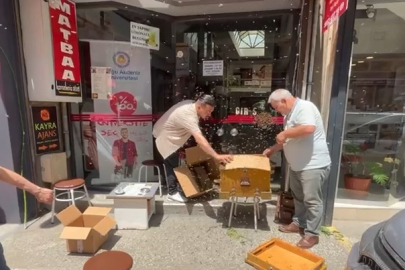 Arı sürüsü iş hanını esir aldı