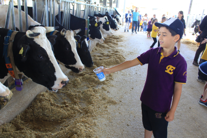 Minikler inekler arasında süt içerek Süt Günü'nü kutladı