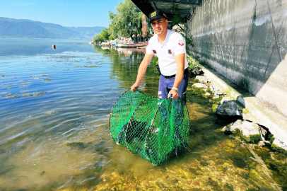 346 kilo sazan balığı göle bırakıldı