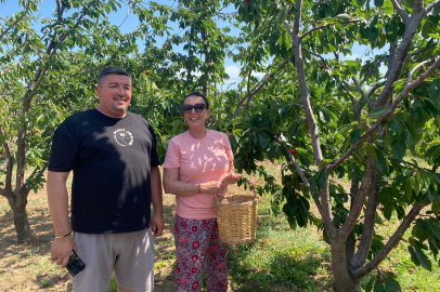 Perihan Savaş, Şarköy'de geleneksel kıyafetiyle kiraz hasadına katıldı