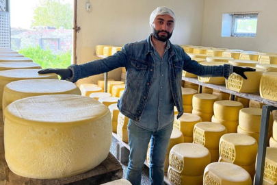 Kars’ta tonlarca süt, eski kaşar için işleniyor