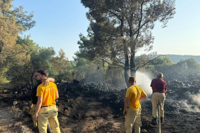 Mangal yakarak orman yangınına neden olan şahıs tutuklandı